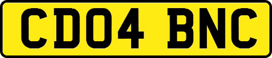 CD04BNC