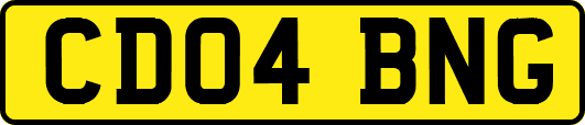 CD04BNG