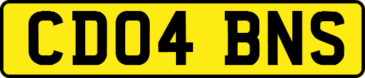 CD04BNS