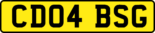 CD04BSG