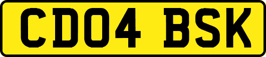 CD04BSK