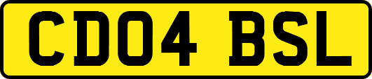 CD04BSL