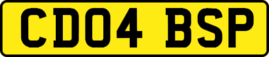 CD04BSP