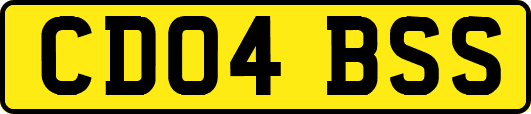 CD04BSS