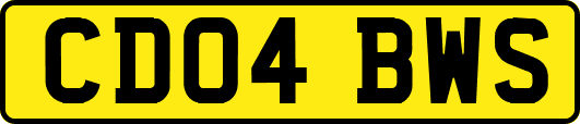 CD04BWS