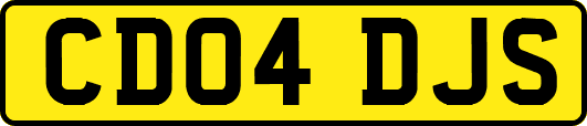 CD04DJS