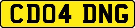 CD04DNG
