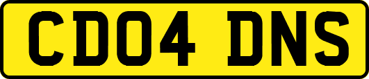 CD04DNS