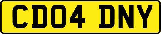 CD04DNY