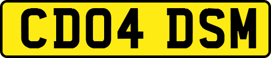 CD04DSM