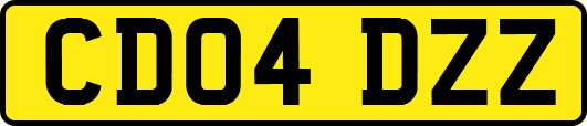 CD04DZZ