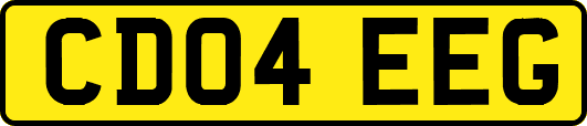 CD04EEG