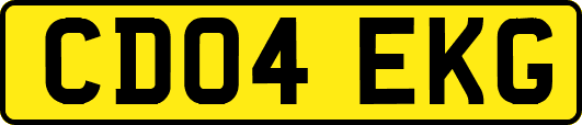CD04EKG