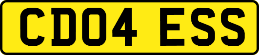 CD04ESS