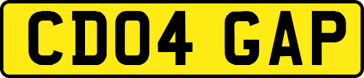 CD04GAP