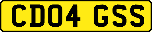 CD04GSS