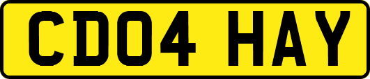 CD04HAY