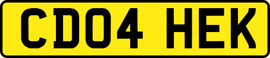 CD04HEK