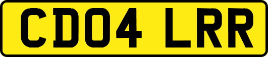 CD04LRR
