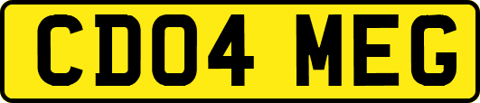 CD04MEG