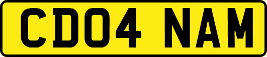 CD04NAM