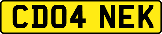 CD04NEK