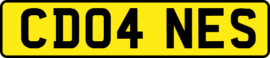 CD04NES
