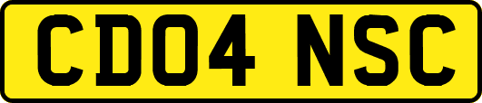 CD04NSC