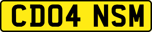 CD04NSM