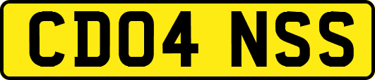 CD04NSS