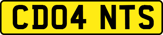 CD04NTS