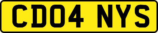 CD04NYS