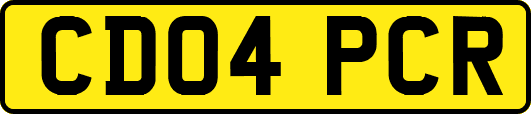 CD04PCR