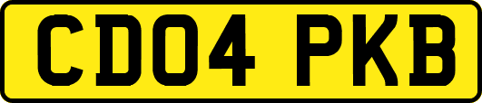 CD04PKB