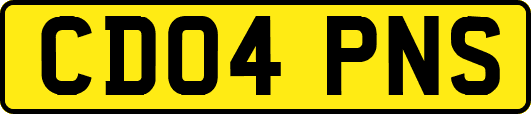 CD04PNS