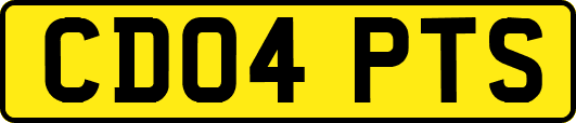 CD04PTS