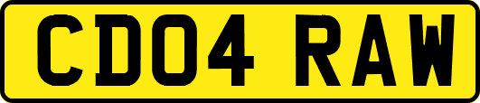 CD04RAW