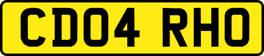 CD04RHO