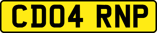 CD04RNP