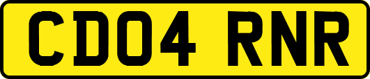 CD04RNR