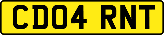 CD04RNT