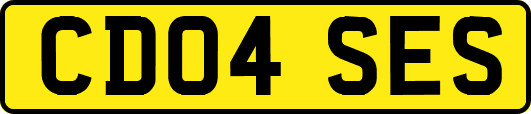 CD04SES