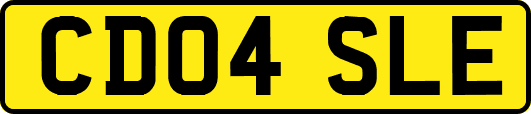 CD04SLE
