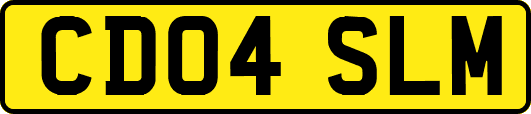CD04SLM