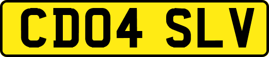 CD04SLV