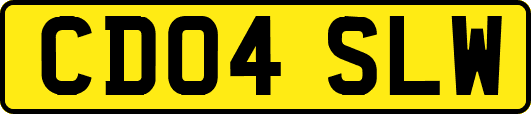 CD04SLW