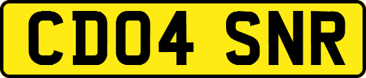 CD04SNR
