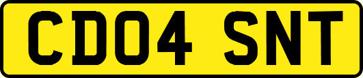 CD04SNT