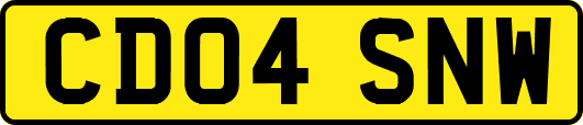 CD04SNW