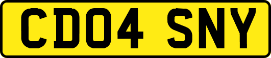 CD04SNY